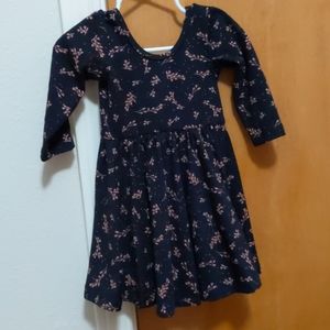 NEW Alice & Ames Bebe meadow ballet dress
